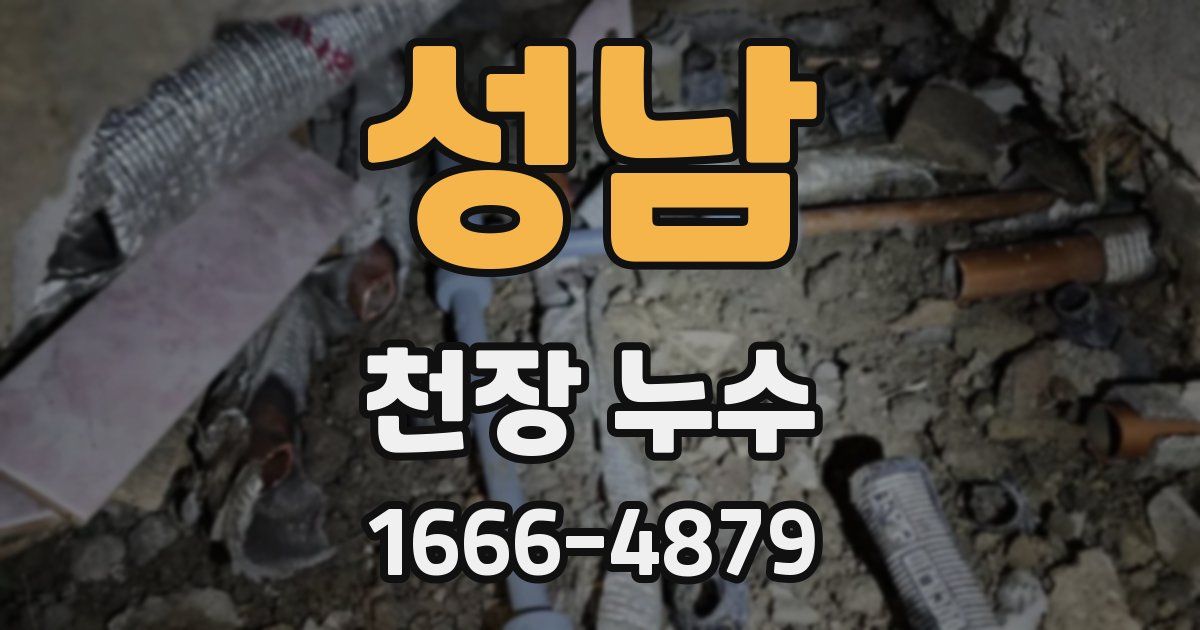 성남 천장 누수