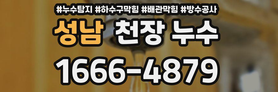성남 천장 누수