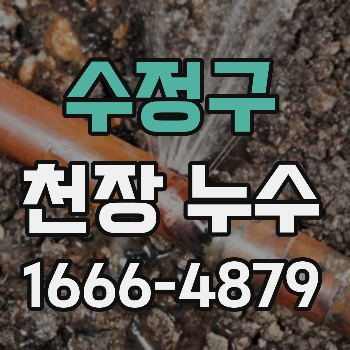 수정구 천장 누수