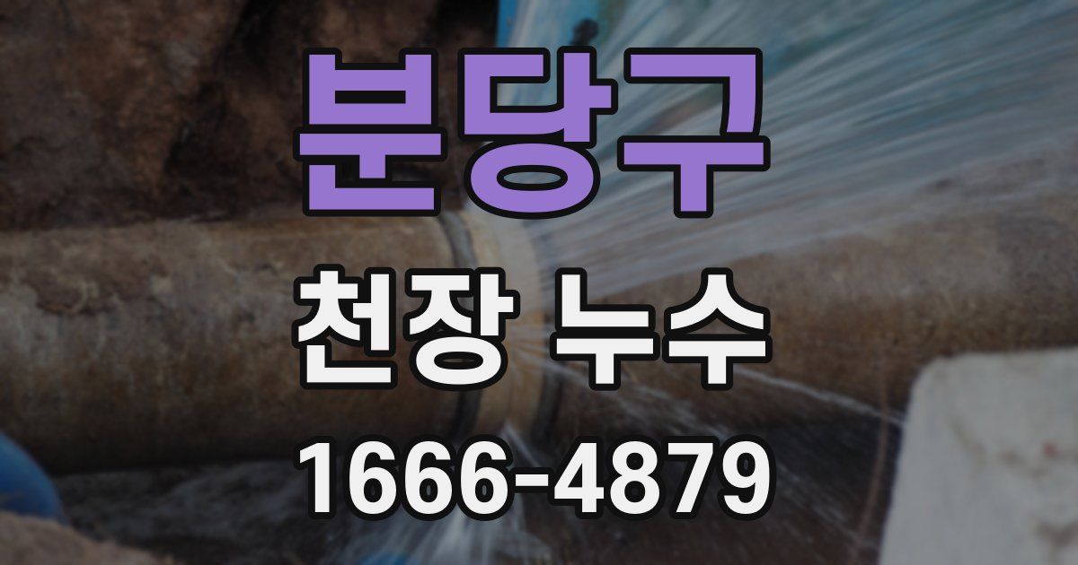 분당구 천장 누수