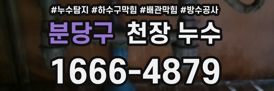 분당구 천장 누수