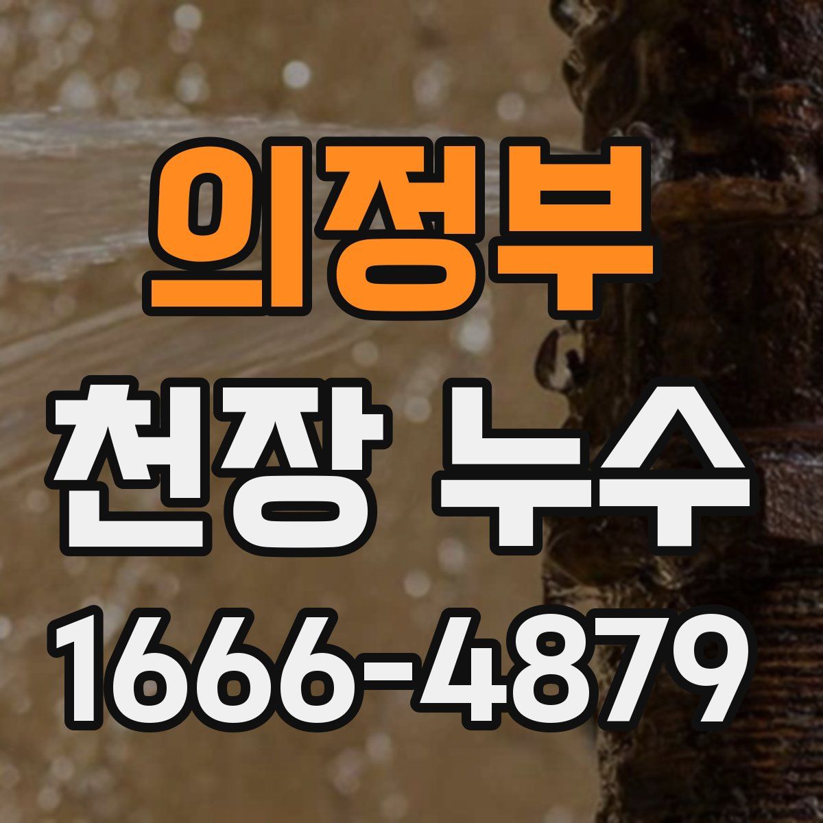 의정부 천장 누수