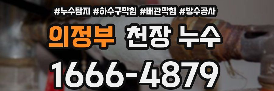 의정부 천장 누수