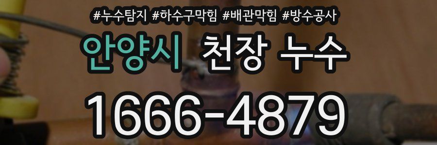 안양시 천장 누수