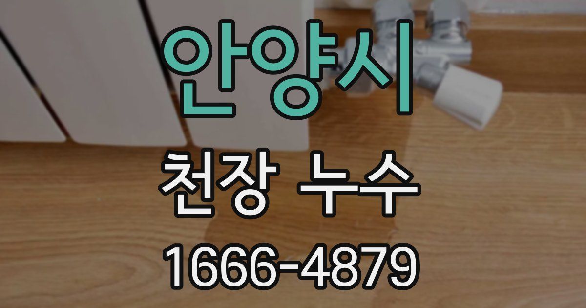 안양시 천장 누수