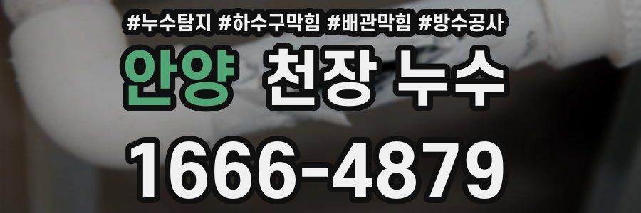 안양 천장 누수
