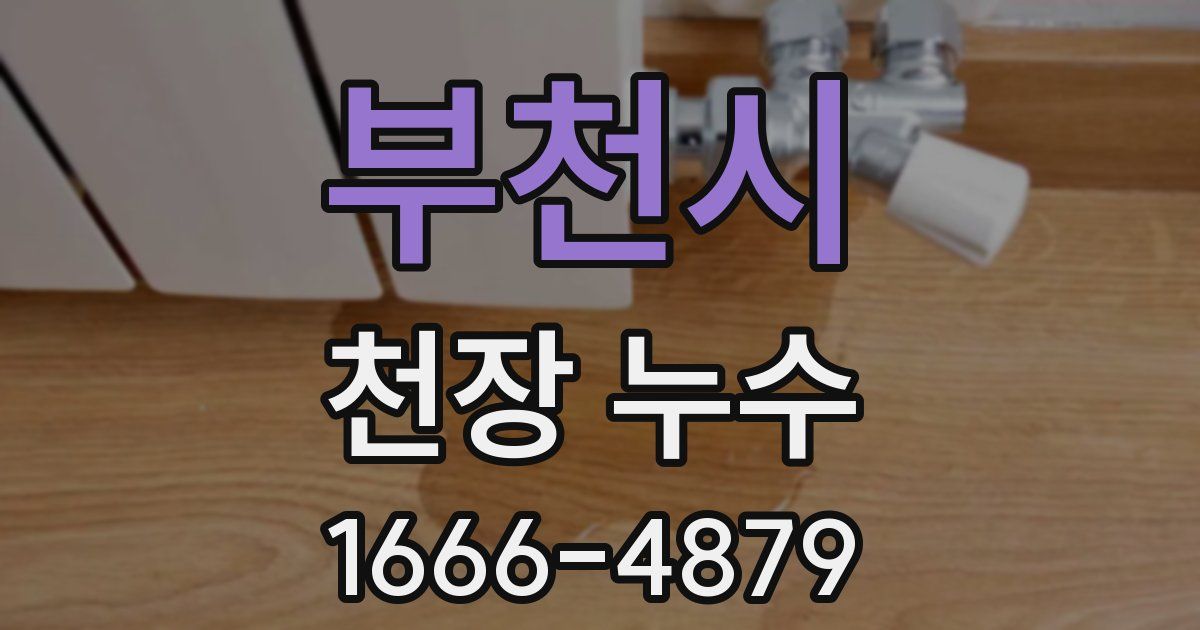 부천시 천장 누수
