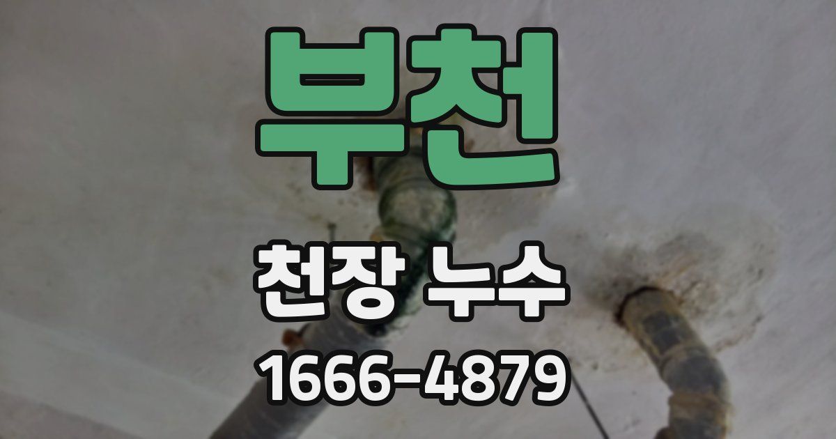 부천 천장 누수