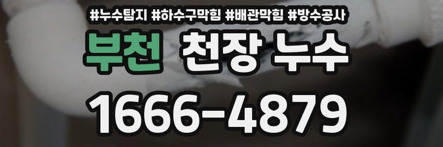 부천 천장 누수