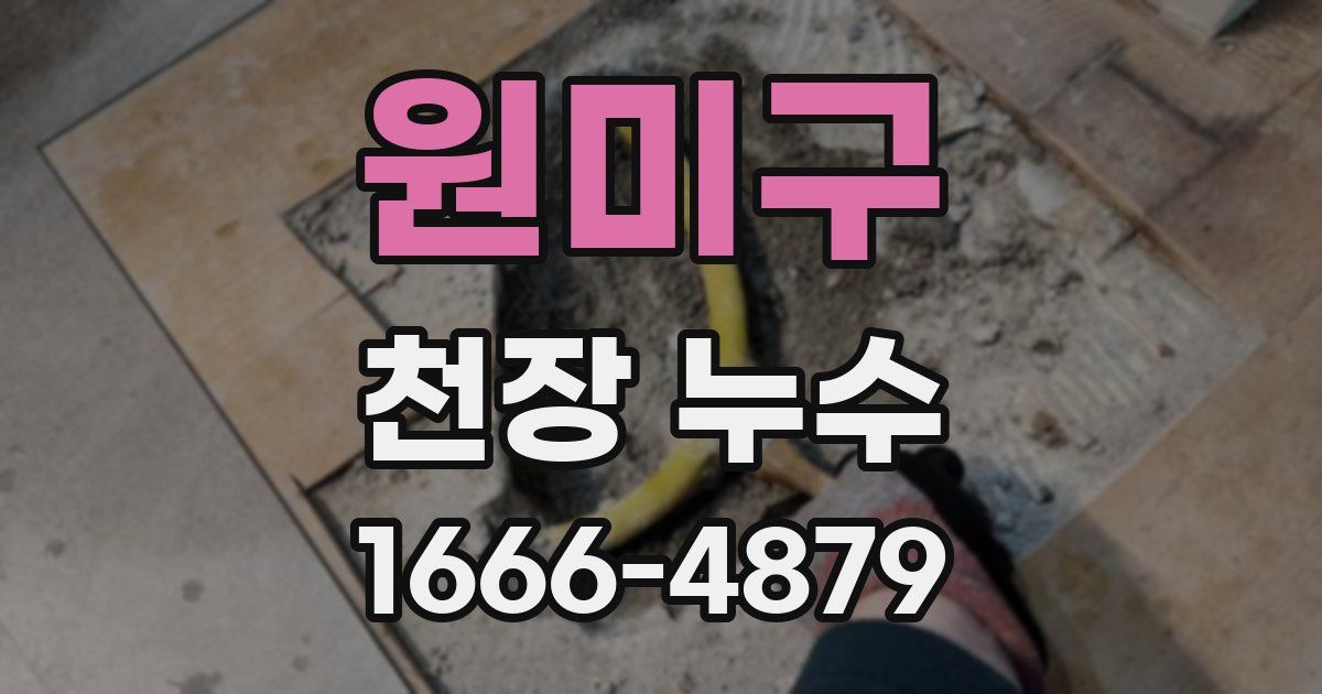 원미구 천장 누수