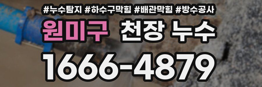 원미구 천장 누수