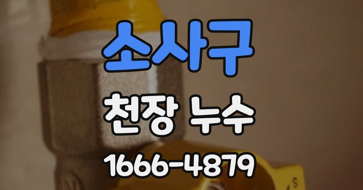 소사구 천장 누수