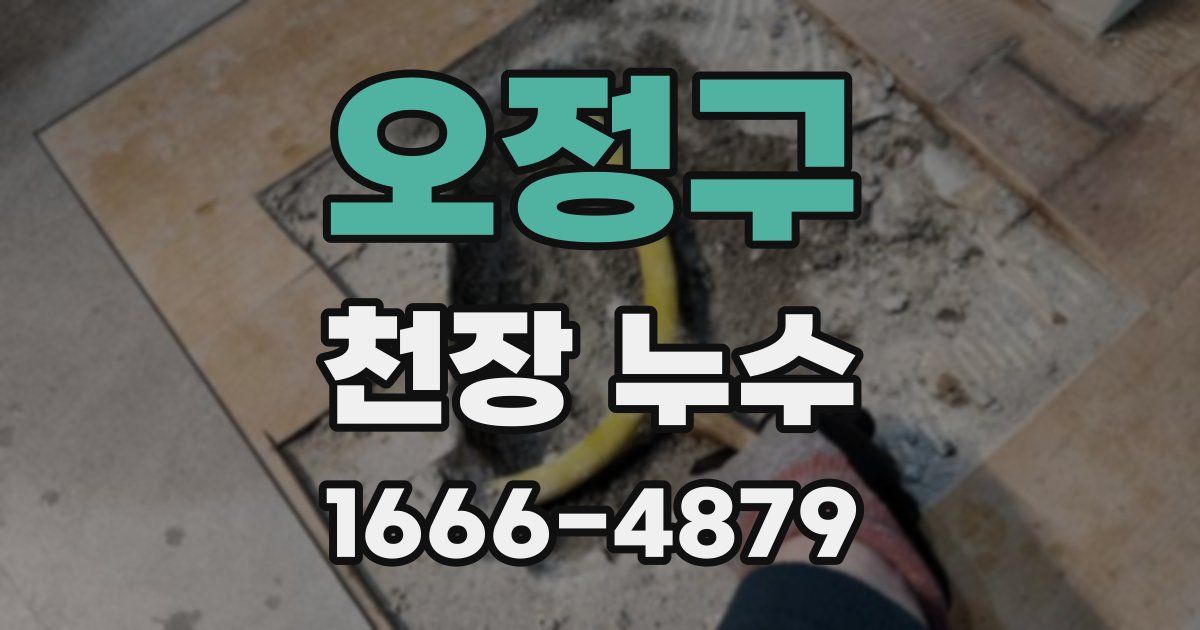 오정구 천장 누수