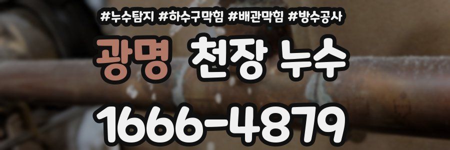 광명 천장 누수