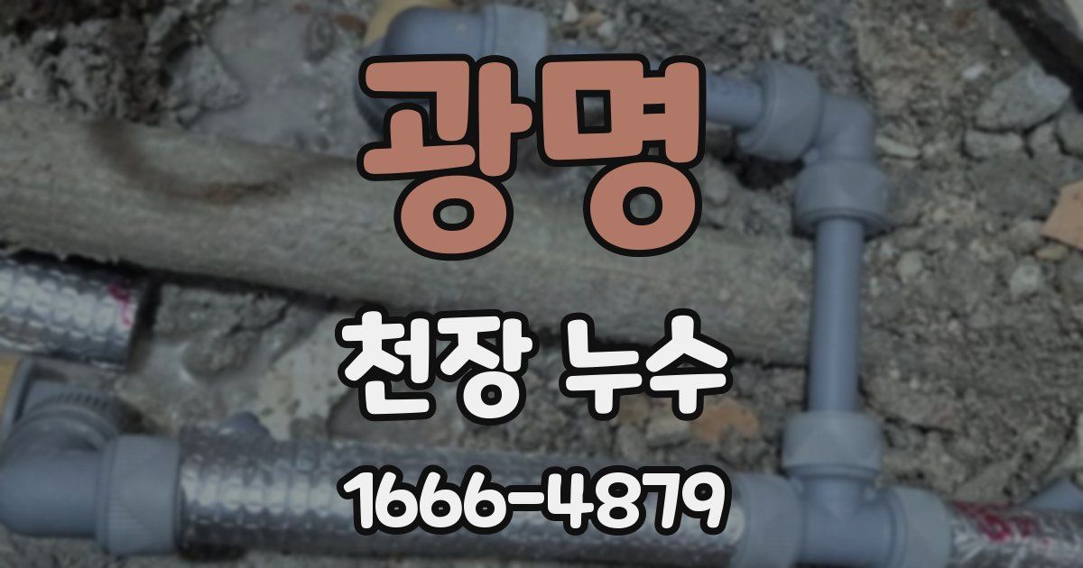 광명 천장 누수
