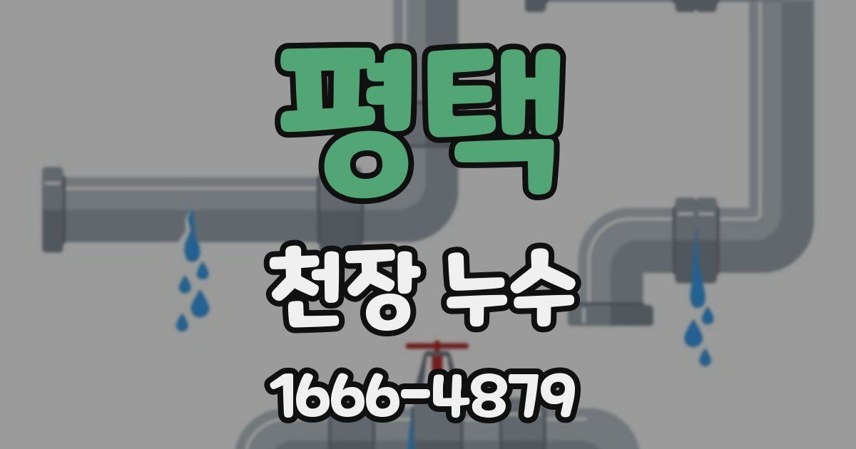 평택 천장 누수