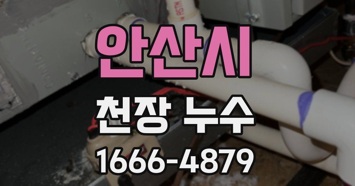 안산시 천장 누수