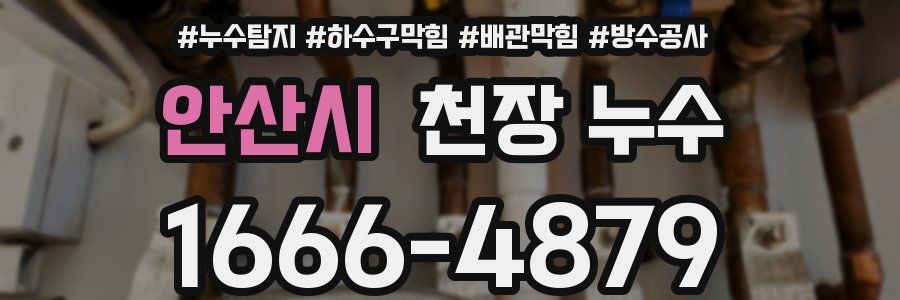 안산시 천장 누수