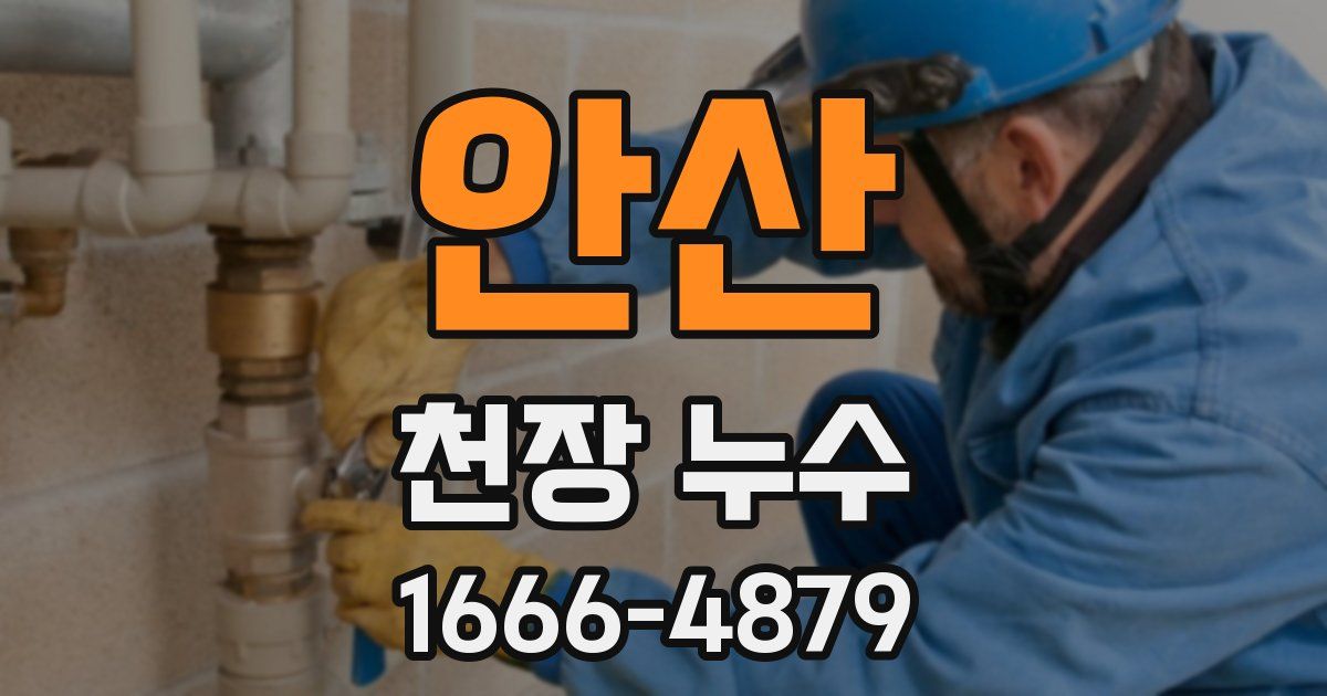 안산 천장 누수