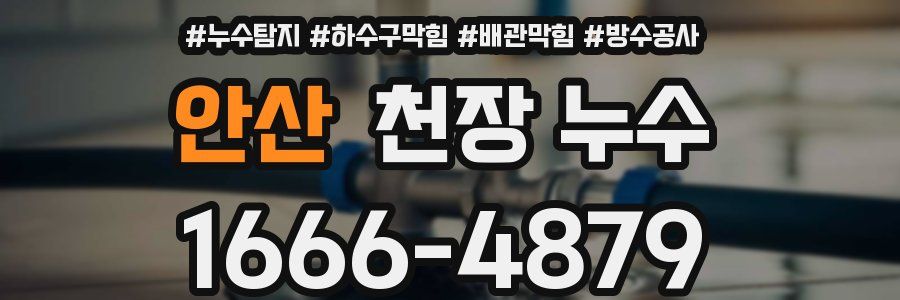 안산 천장 누수
