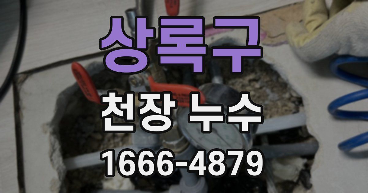상록구 천장 누수