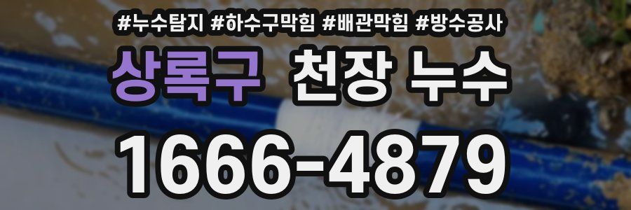 상록구 천장 누수
