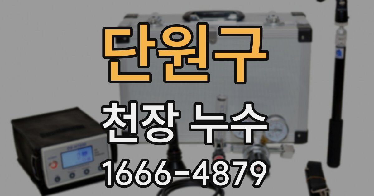단원구 천장 누수
