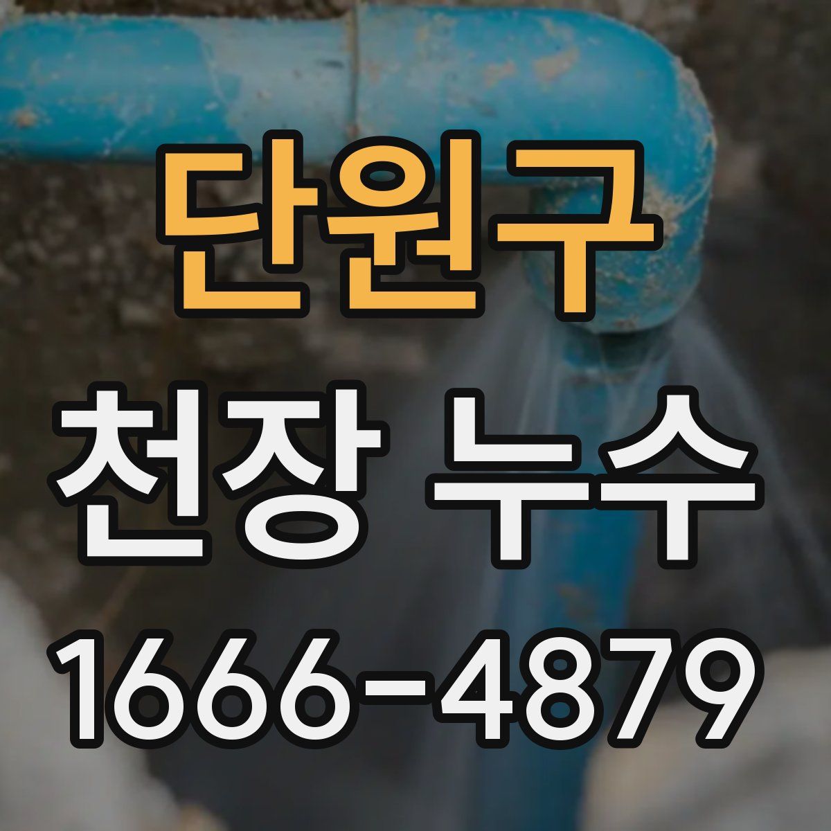 단원구 천장 누수
