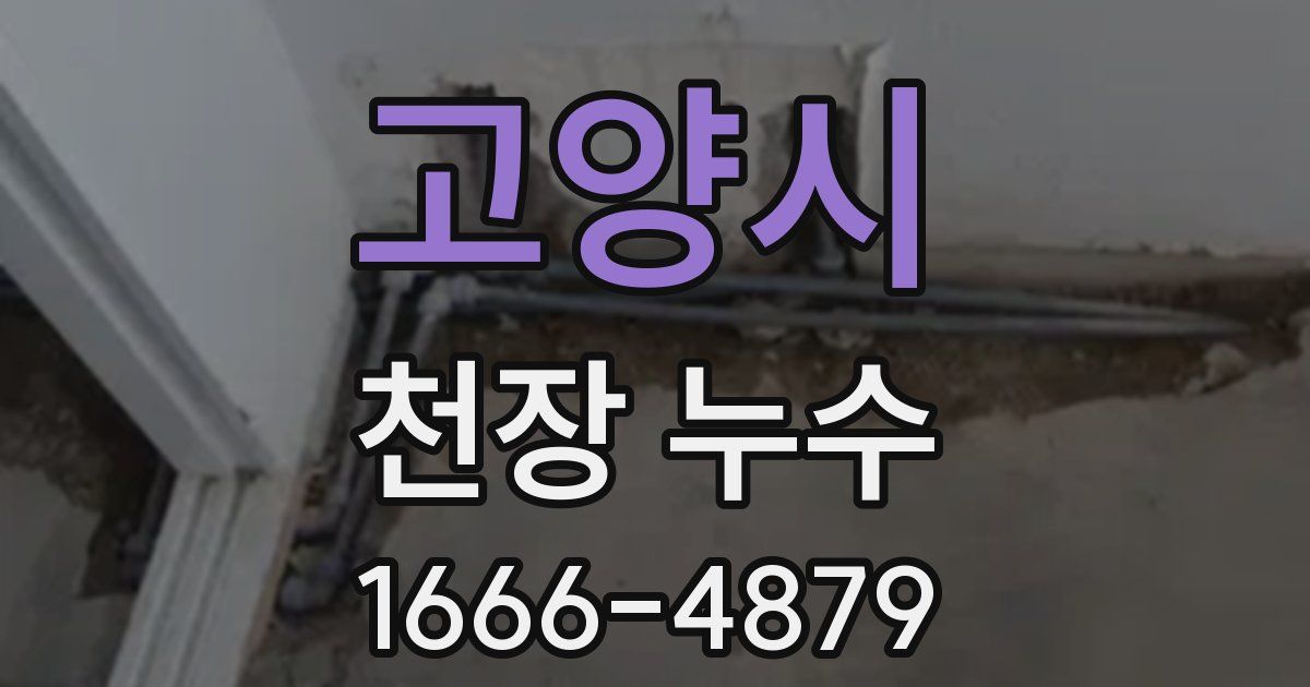 고양시 천장 누수