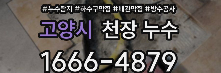 고양시 천장 누수