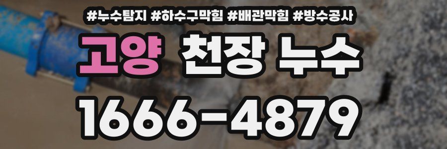 고양 천장 누수