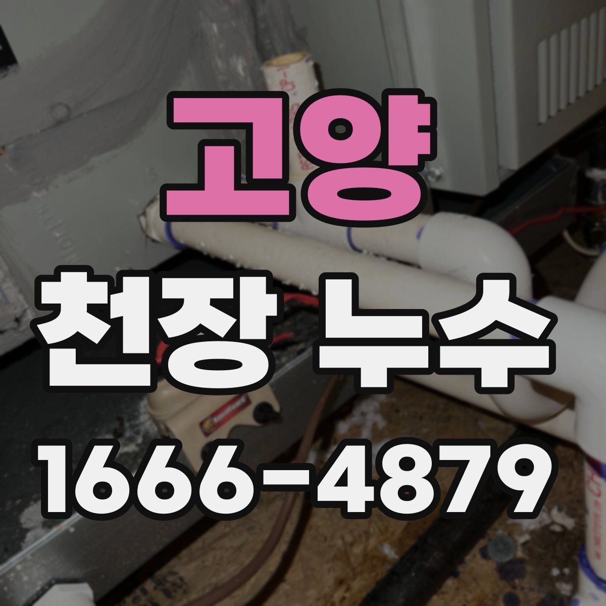 고양 천장 누수