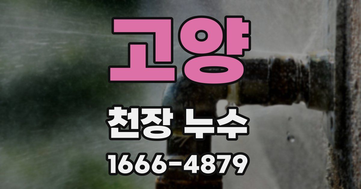 고양 천장 누수