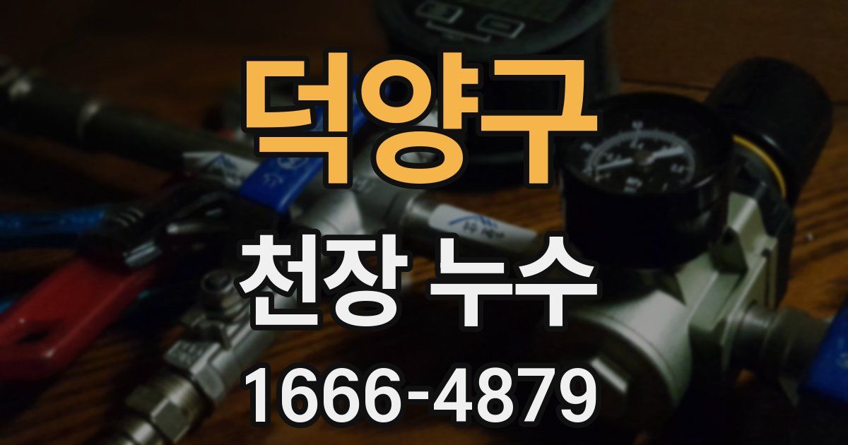 덕양구 천장 누수