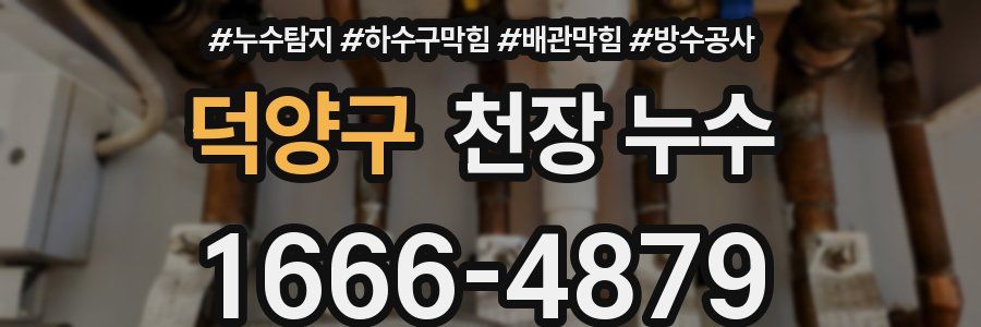 덕양구 천장 누수