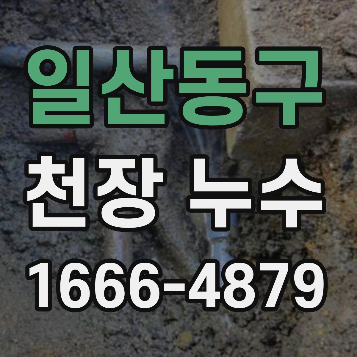 일산동구 천장 누수