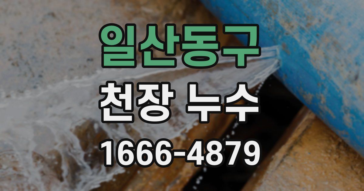 일산동구 천장 누수