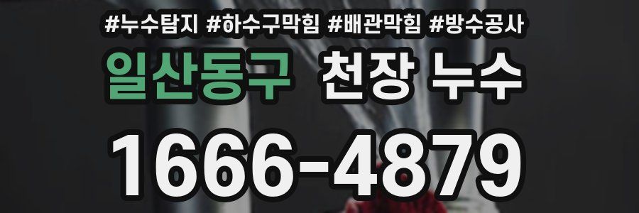 일산동구 천장 누수