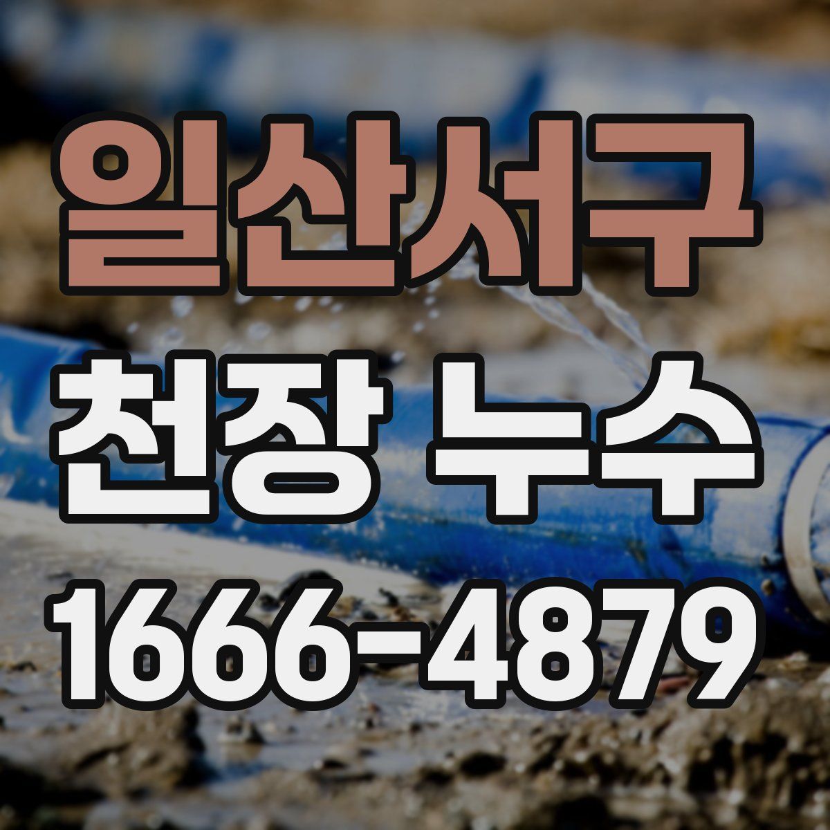 일산서구 천장 누수