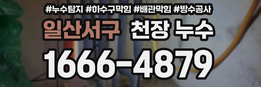 일산서구 천장 누수