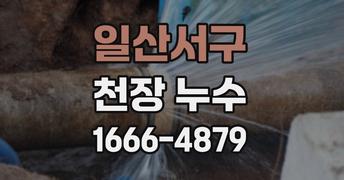 일산서구 천장 누수