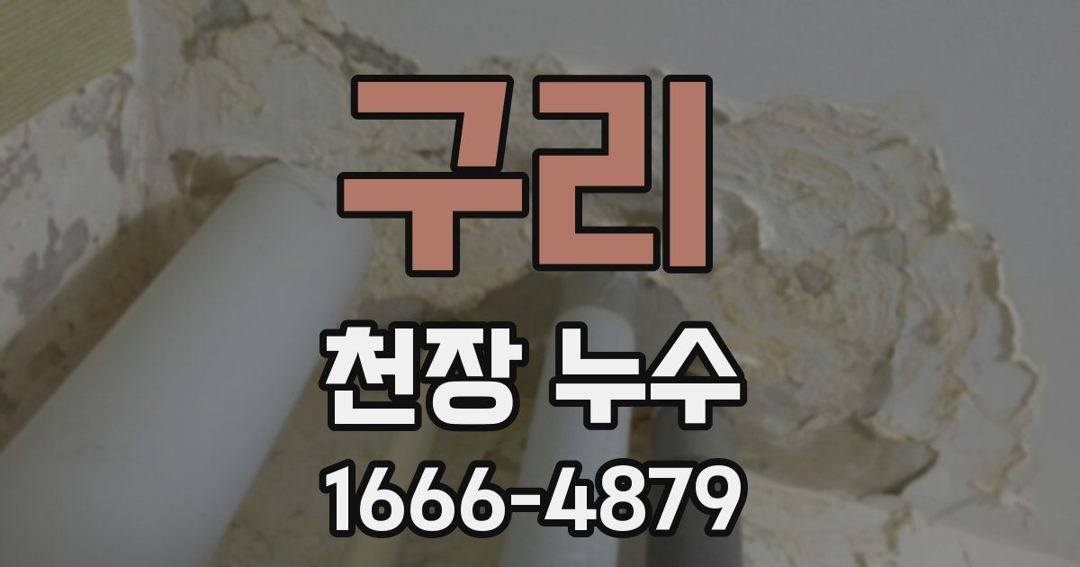 구리 천장 누수