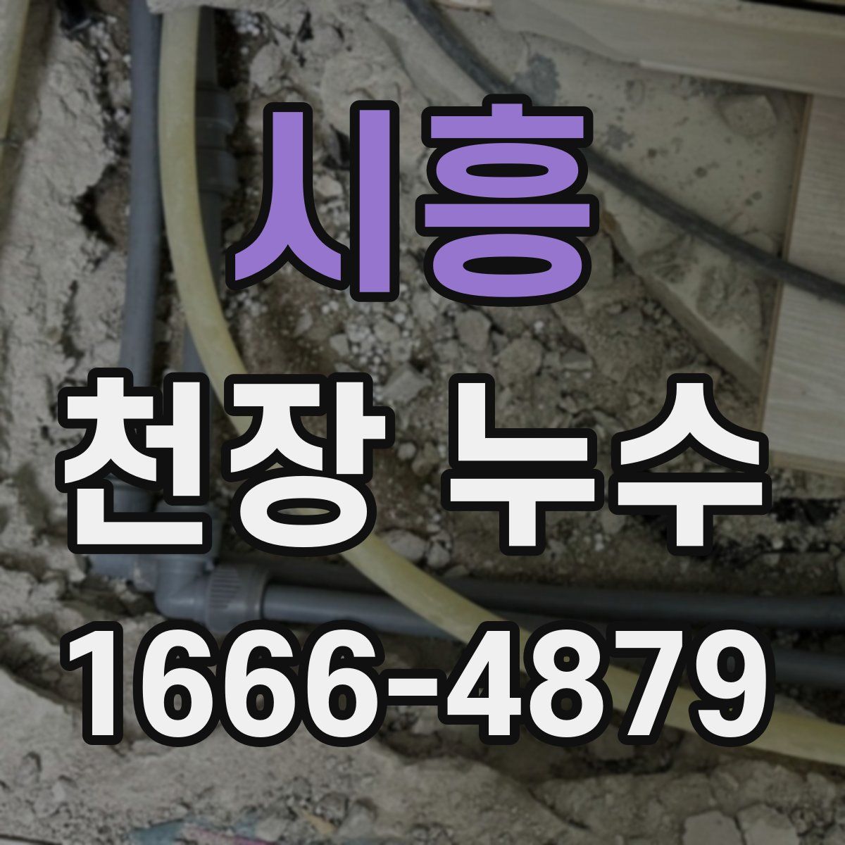 시흥 천장 누수
