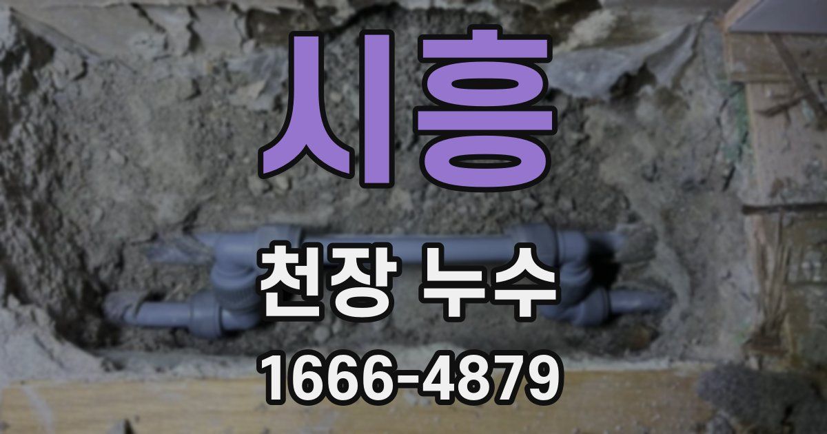 시흥 천장 누수