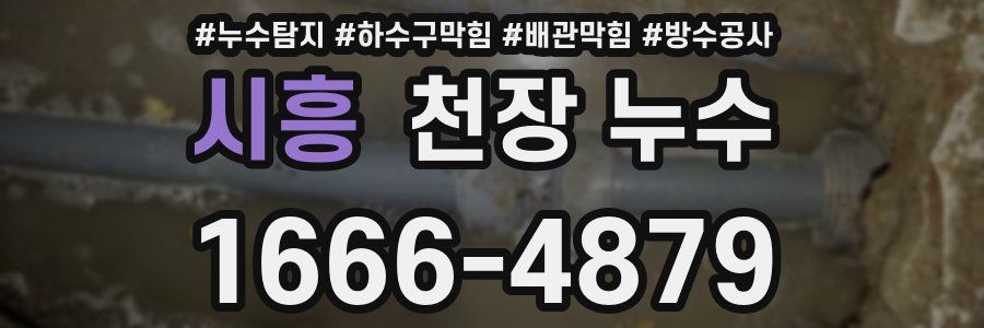 시흥 천장 누수