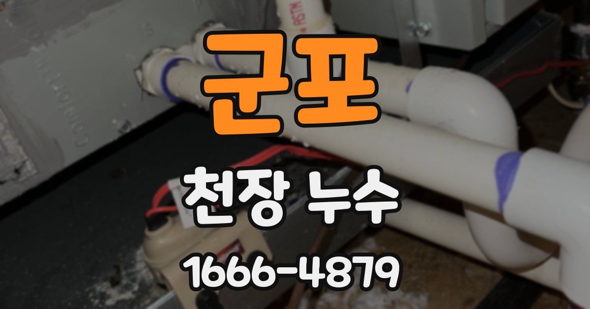 군포 천장 누수