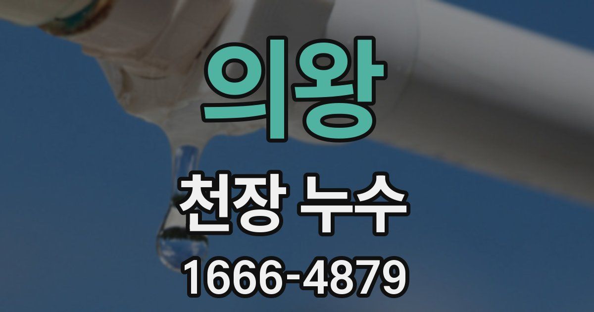 의왕 천장 누수