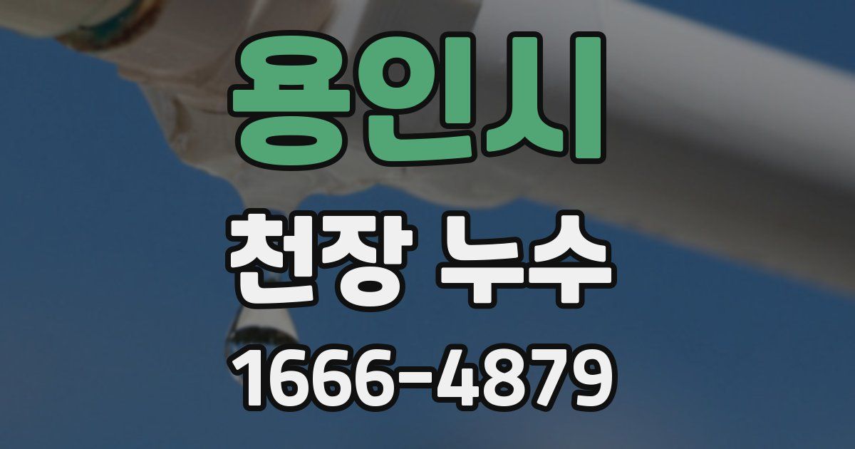 용인시 천장 누수
