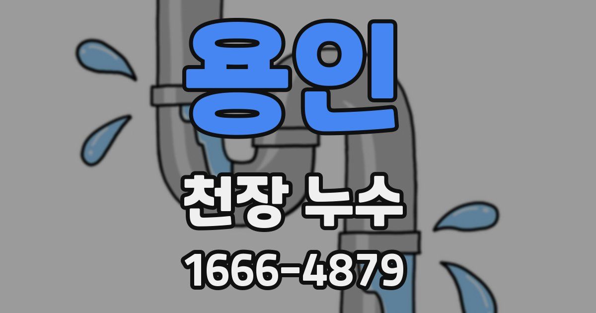 용인 천장 누수