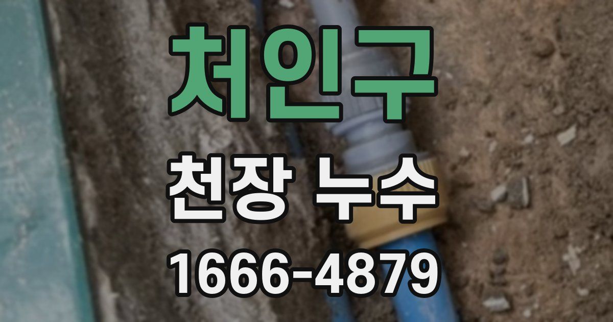 처인구 천장 누수